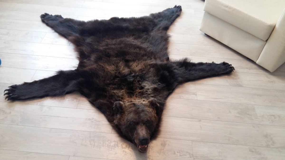 Ковер шкура медведя