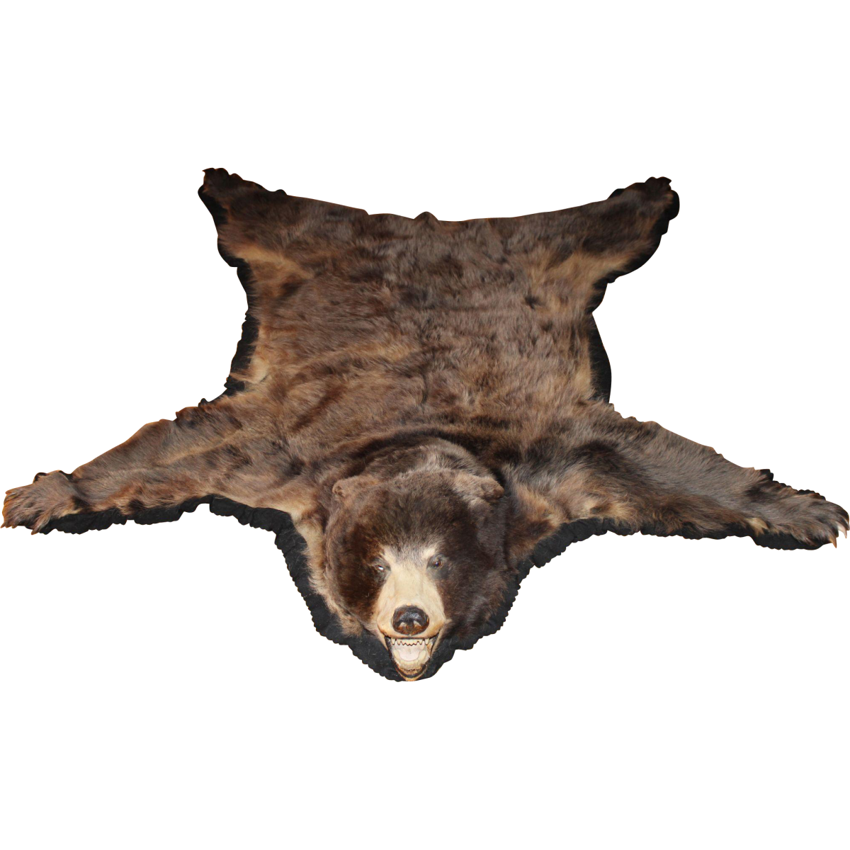 Шкура медведя купить