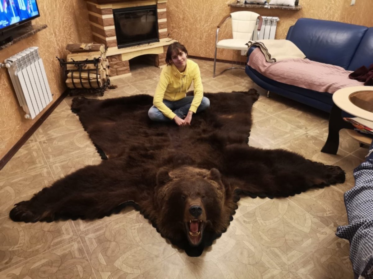 Ковер из медвежьей шкуры