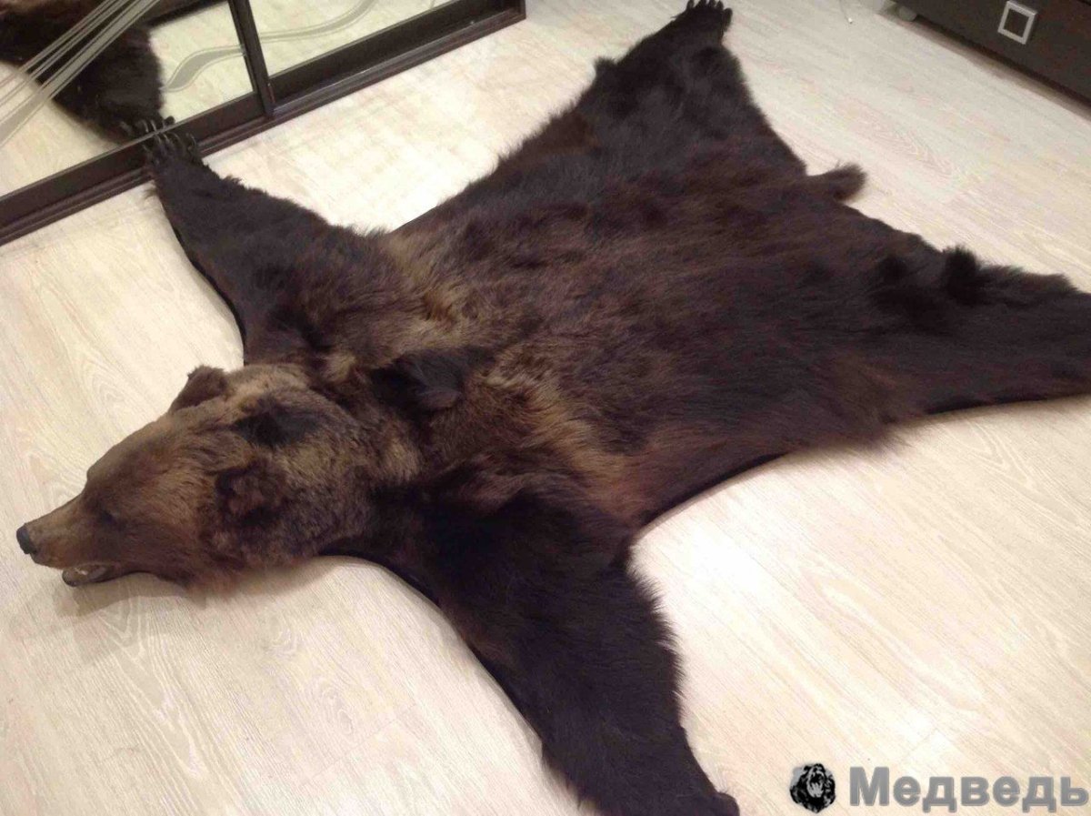Шкуру медведя выделывала