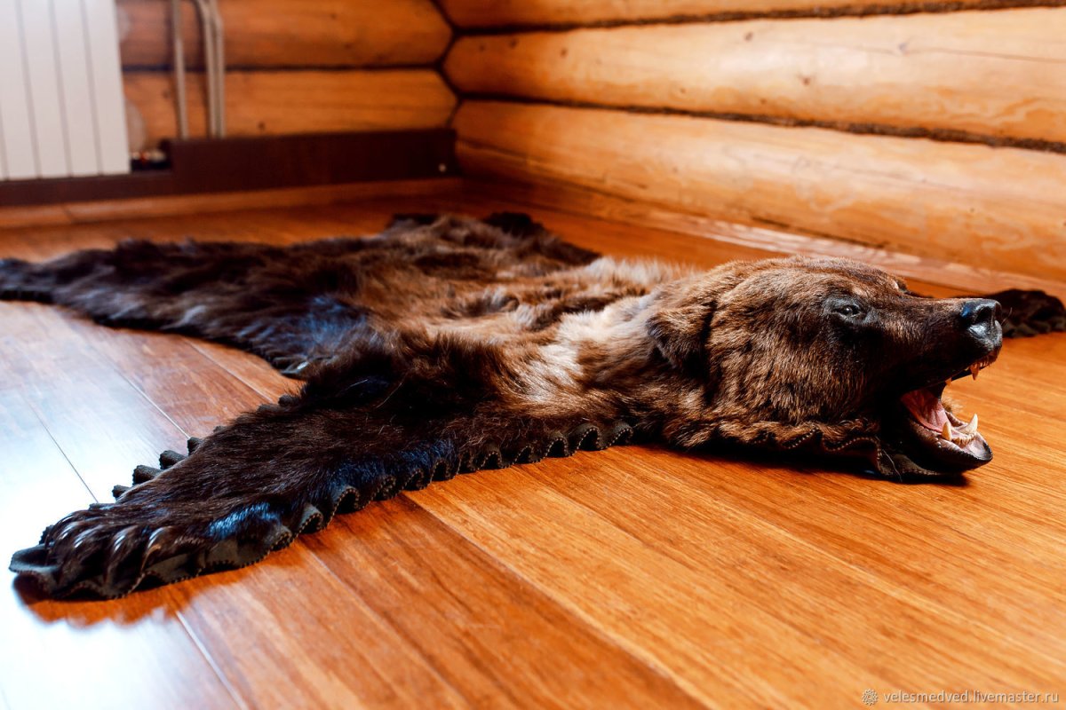 Искусственная шкура медведя с головой