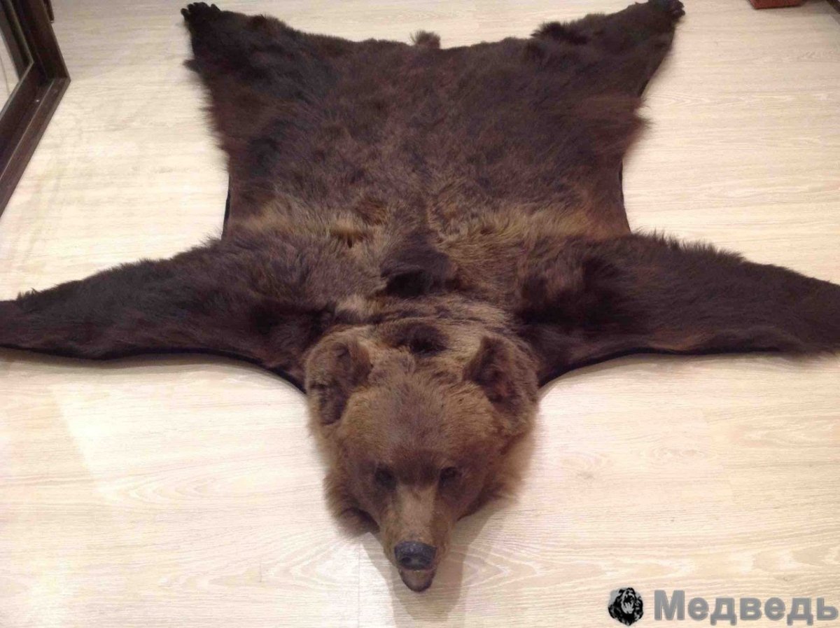 Ковер из шкуры медведя
