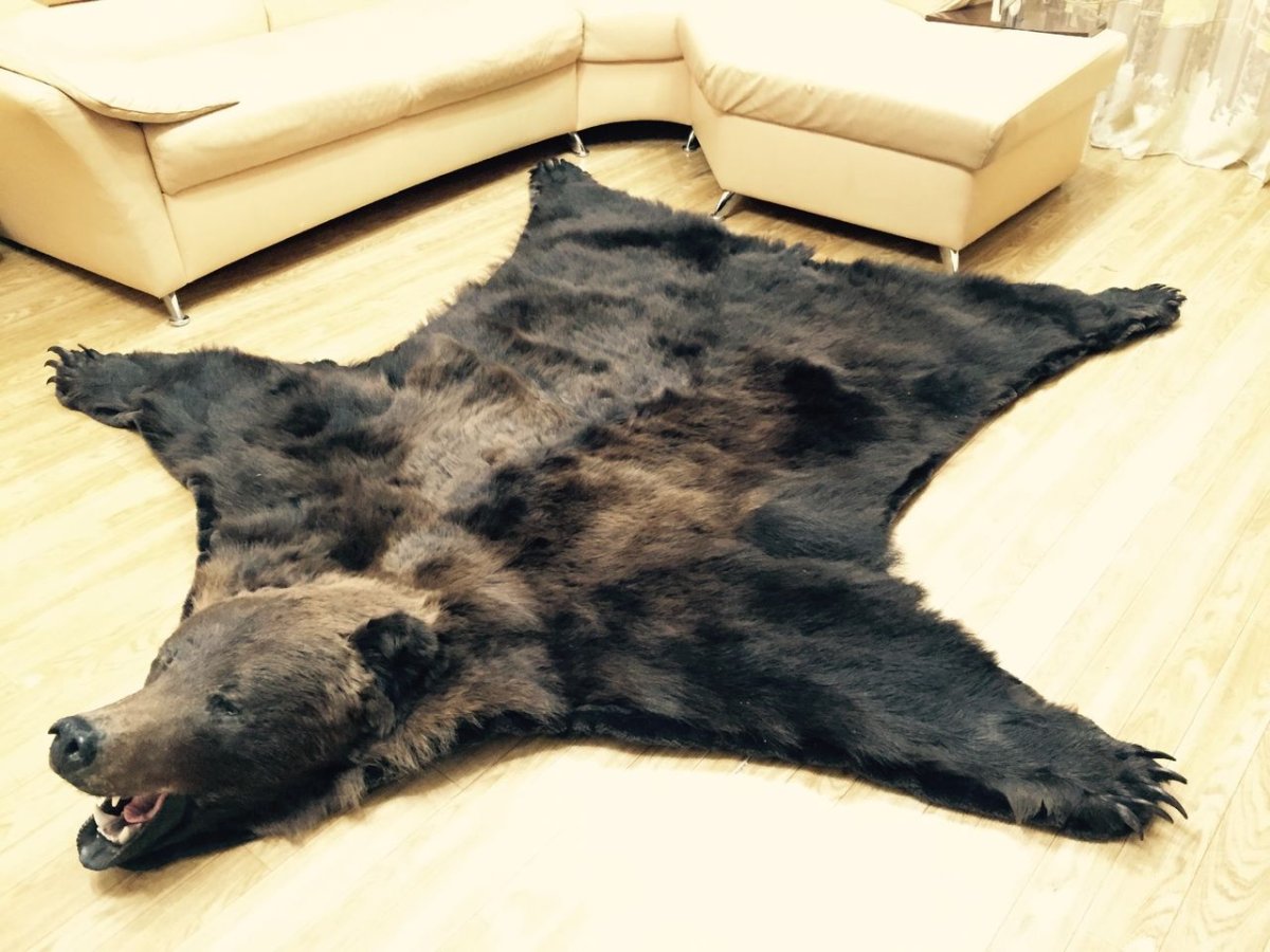 Ковер из медвежьей шкуры