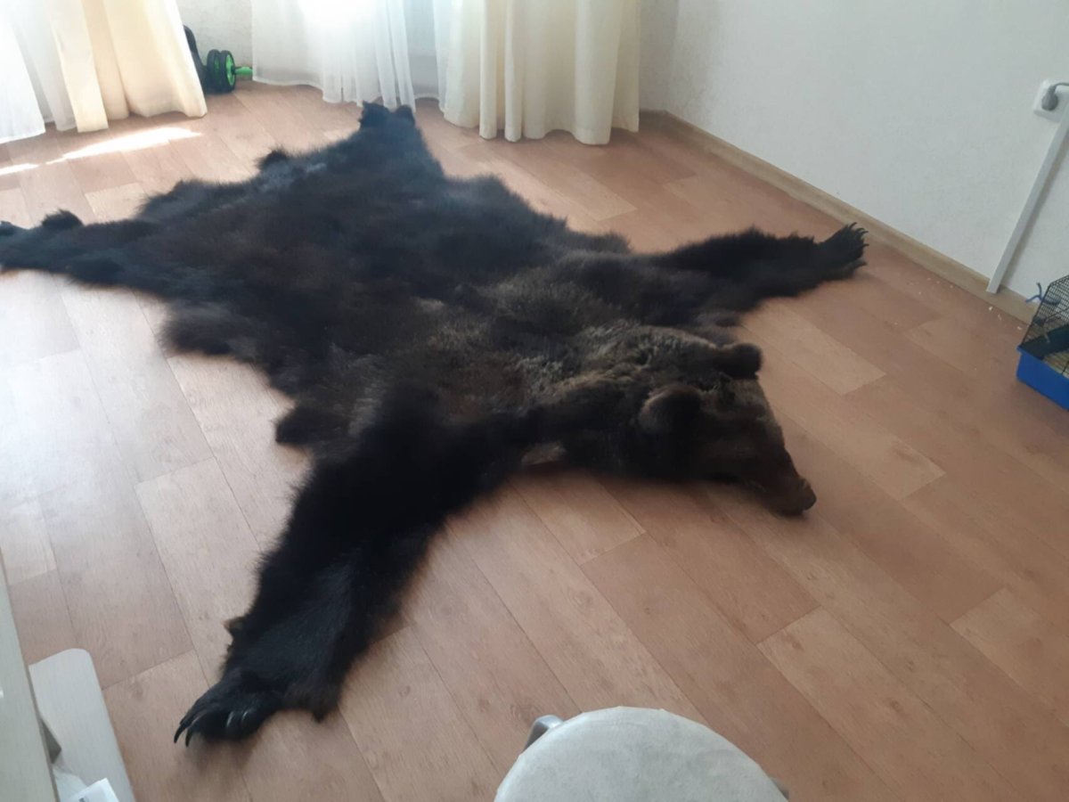 Шкуры животных с головой