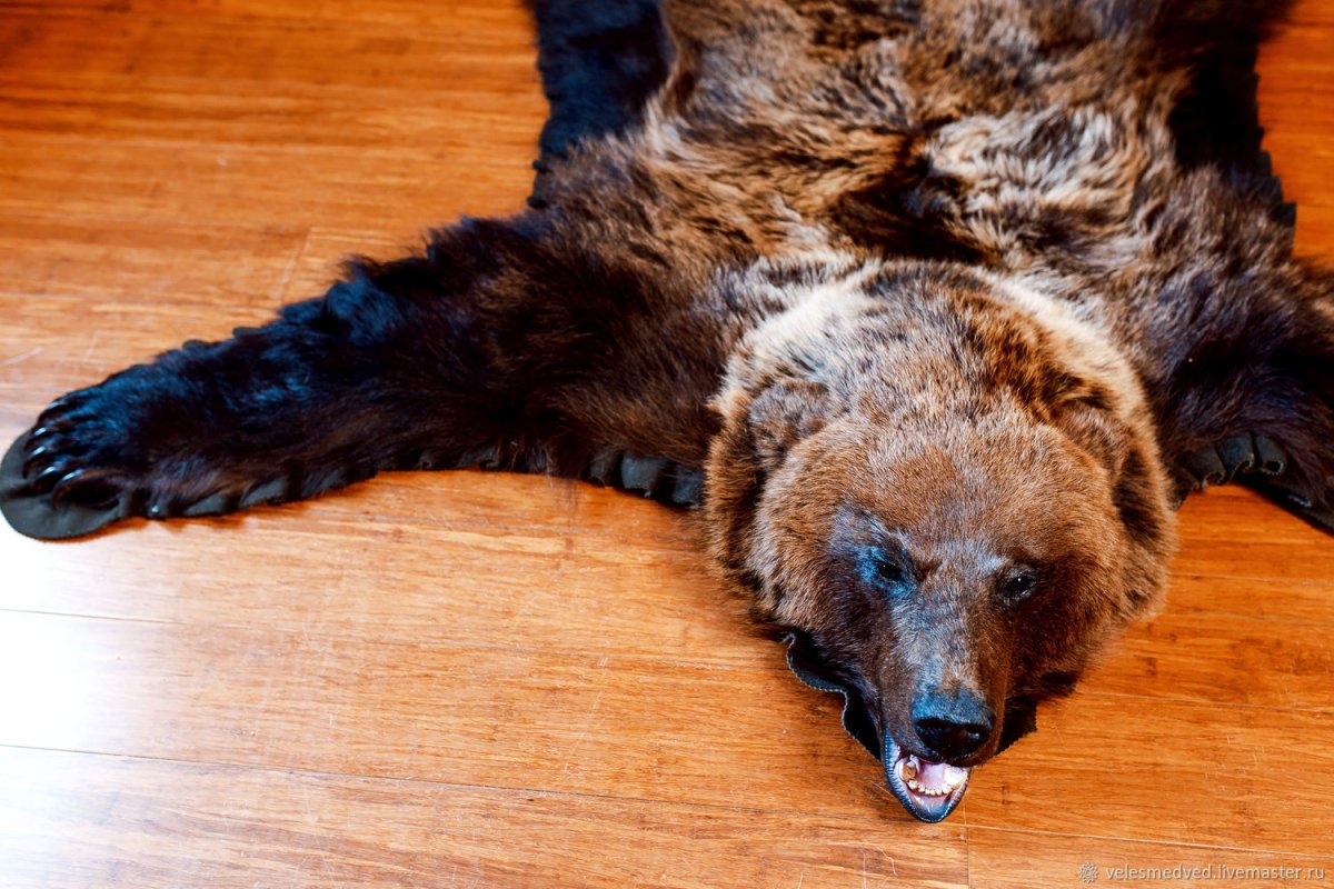 Ковры из выделанных шкур медведя