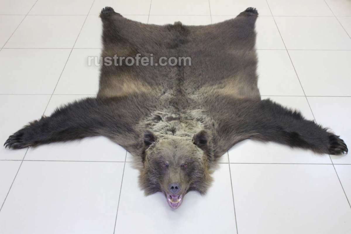 Коврик из шкуры медведя