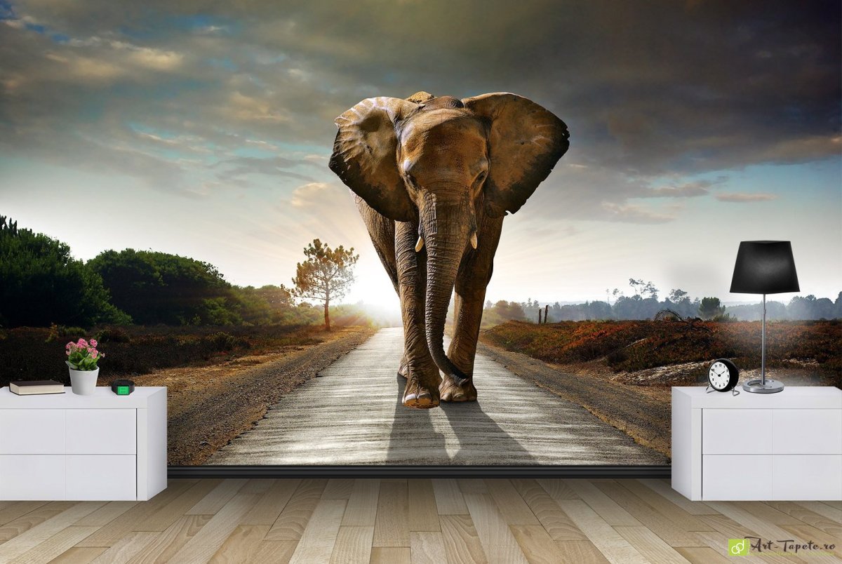 Креативные фотообои в интерьере