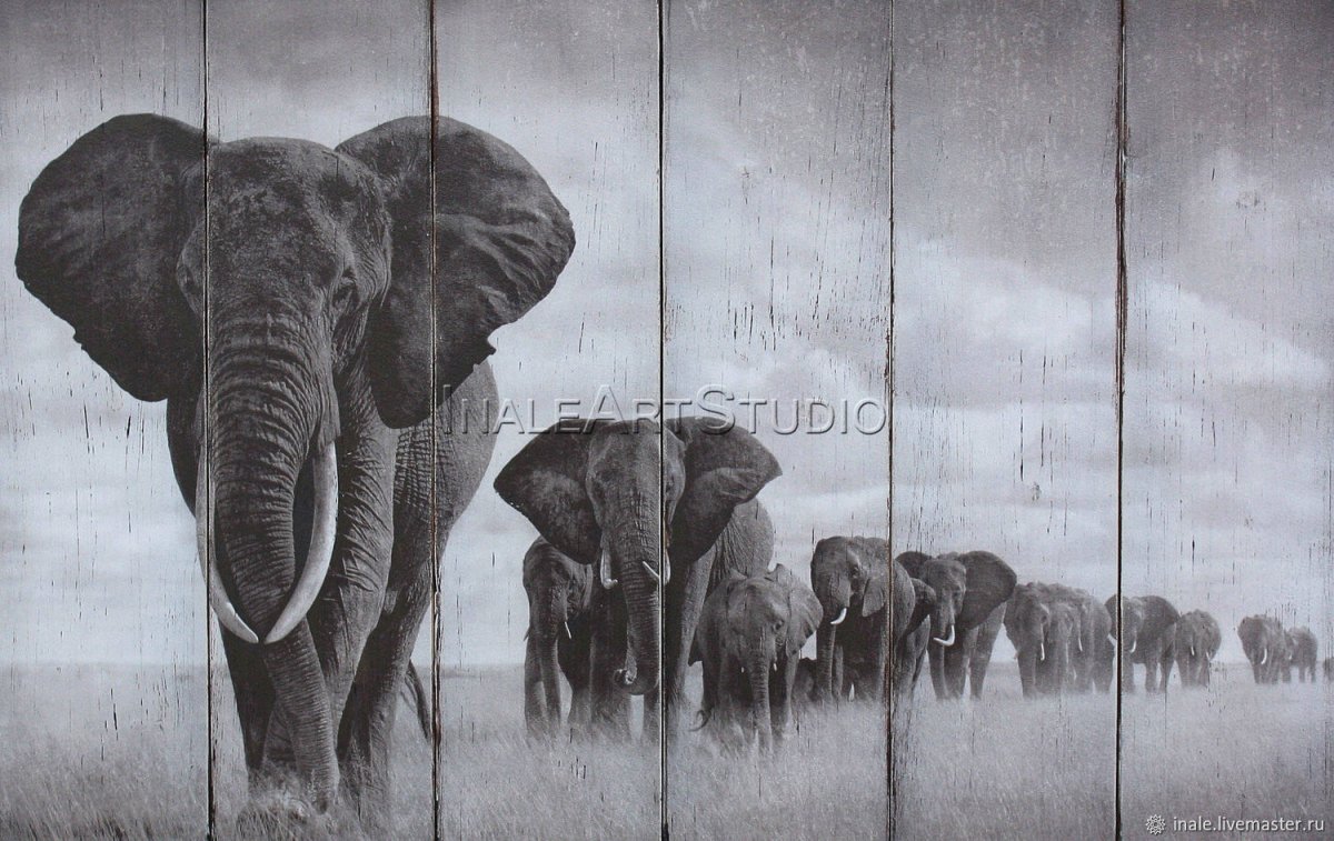 Папертоль слон