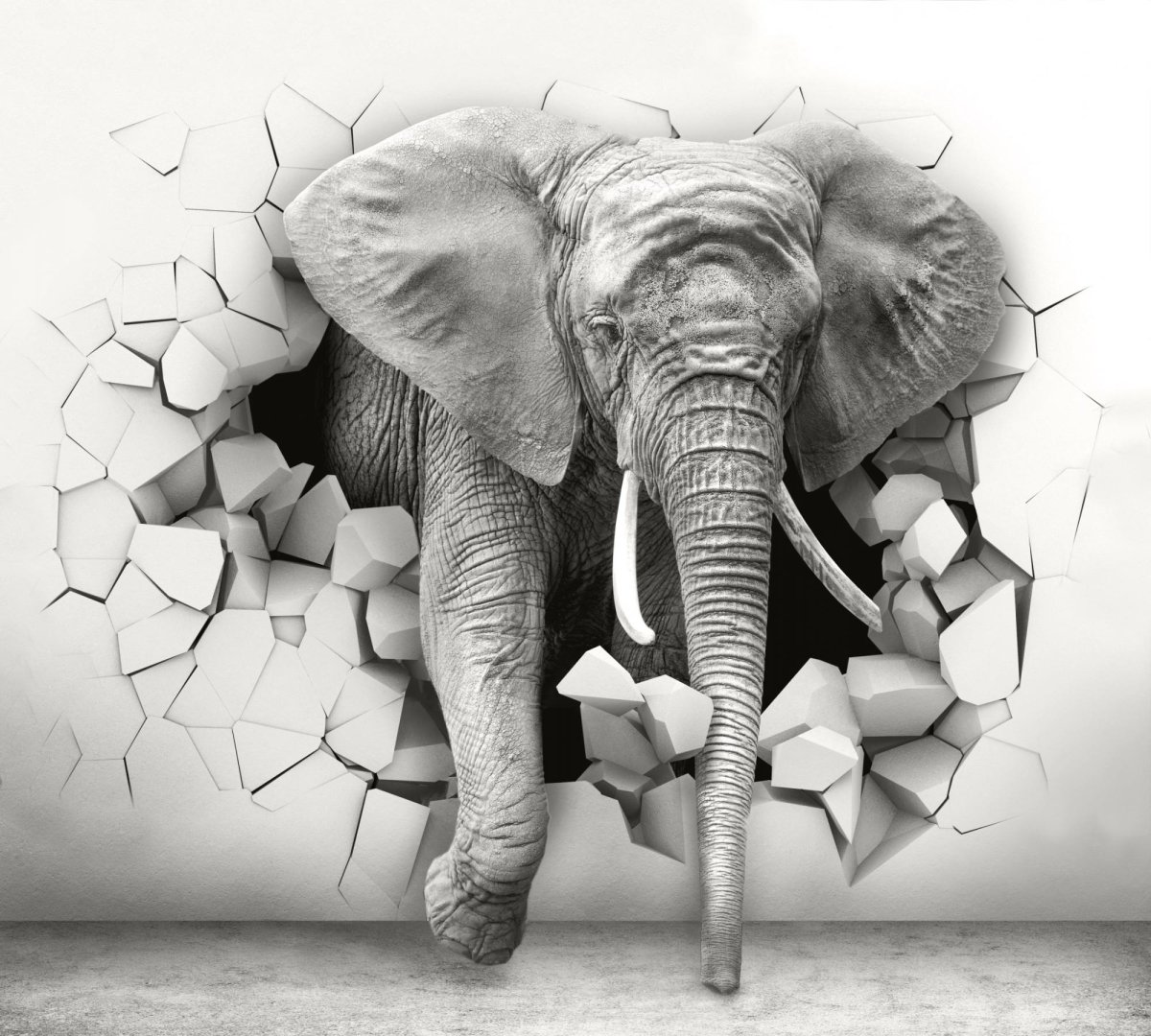 Komar Elephant xxl4-529