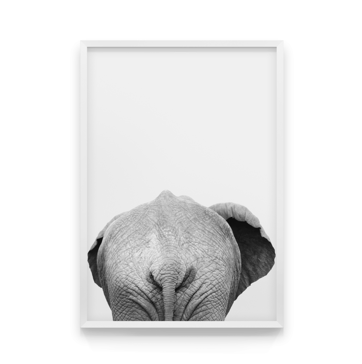 Сооны Пикассо слоны Пабло