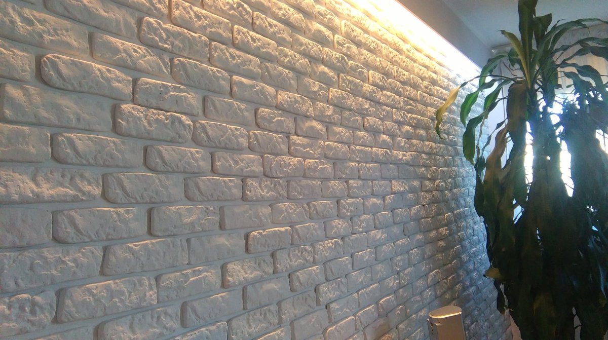 Камень старый Петроград