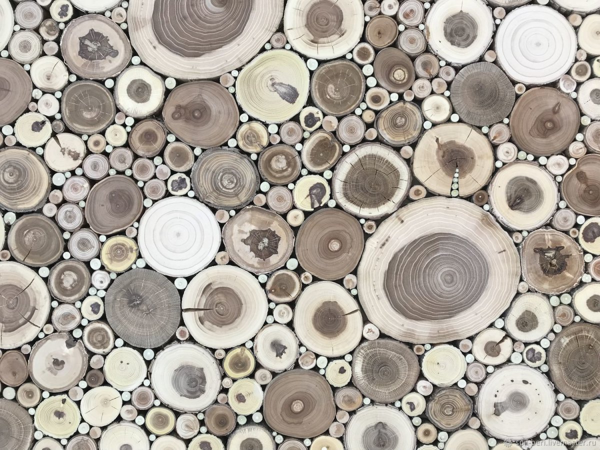 Спил дерева f4150f