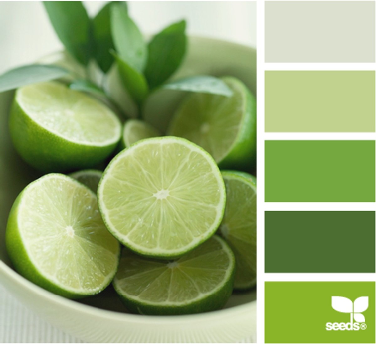 Лаймовый цвет