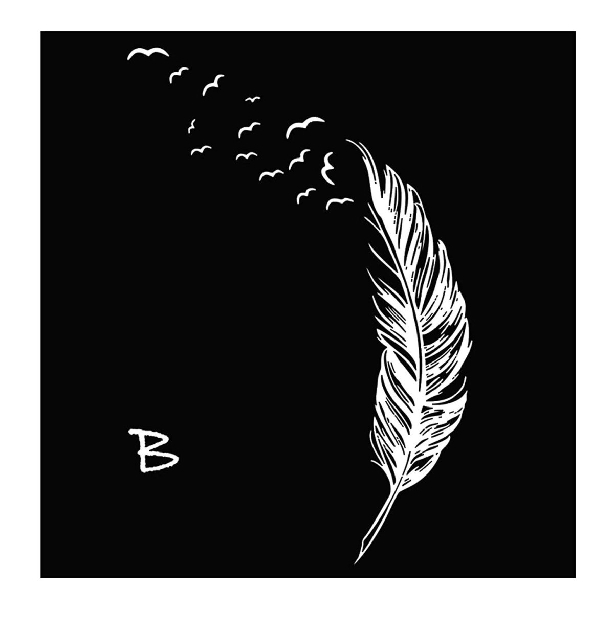 Красивые перья черно белые