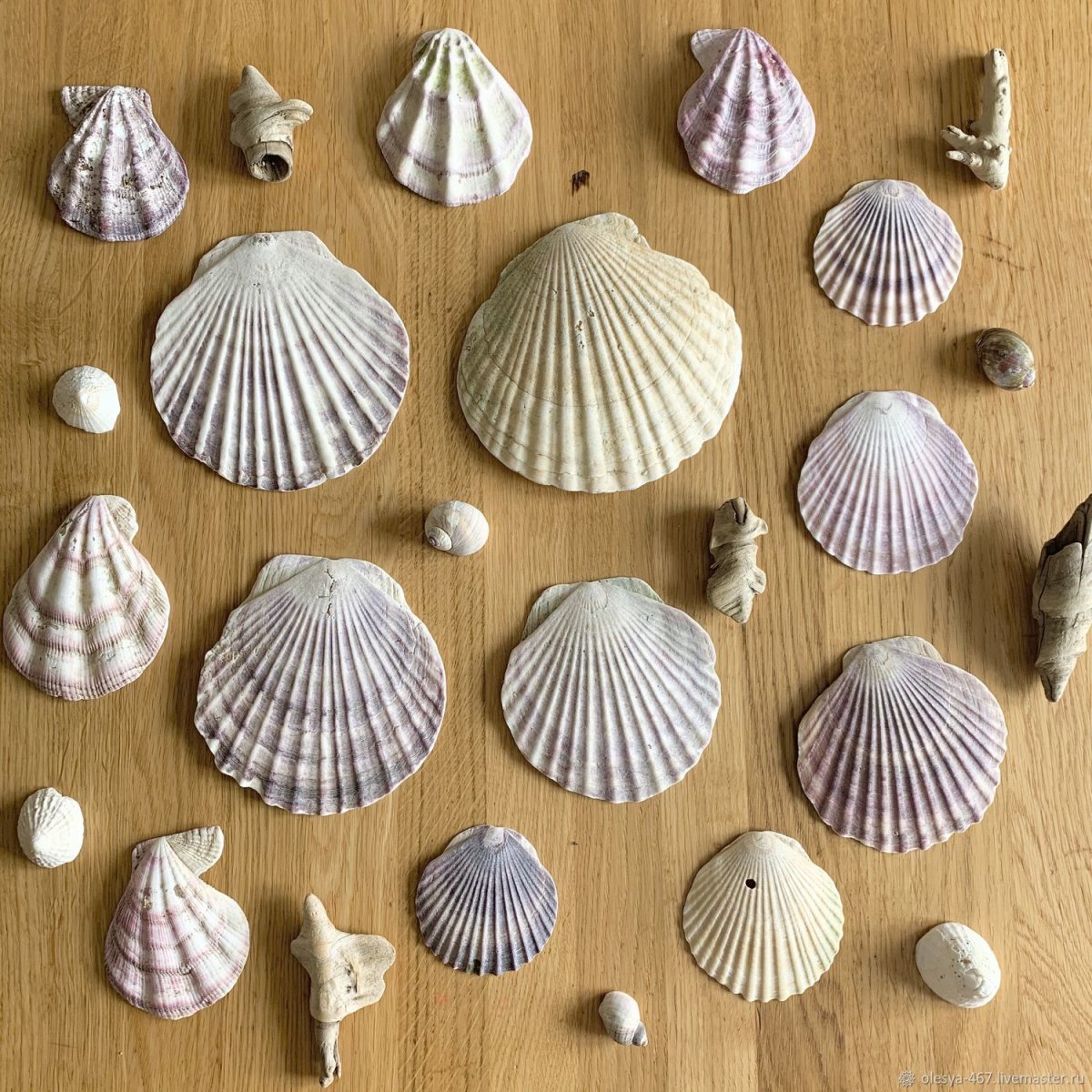 Панно из ракушек