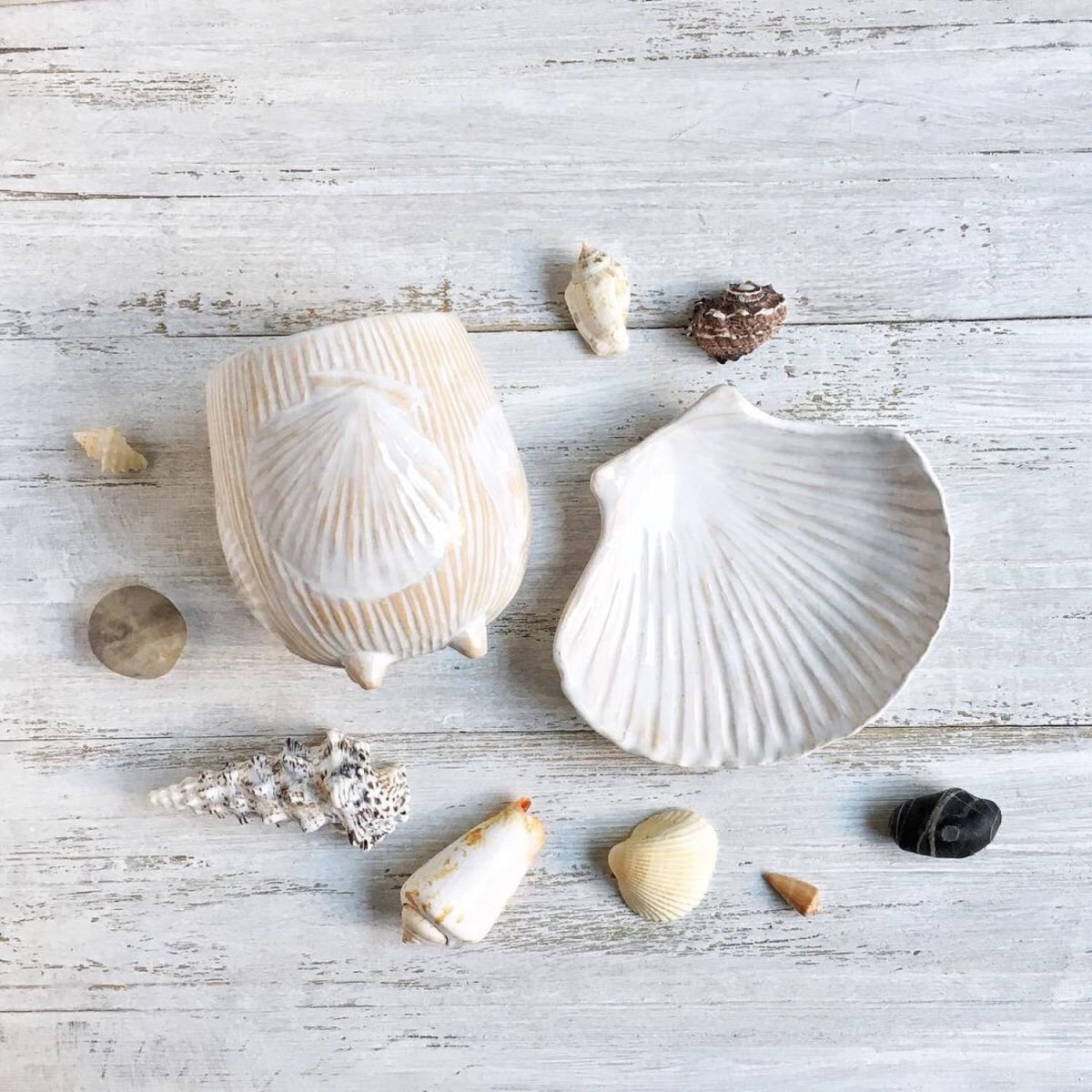 Декор из ракушек в интерьере