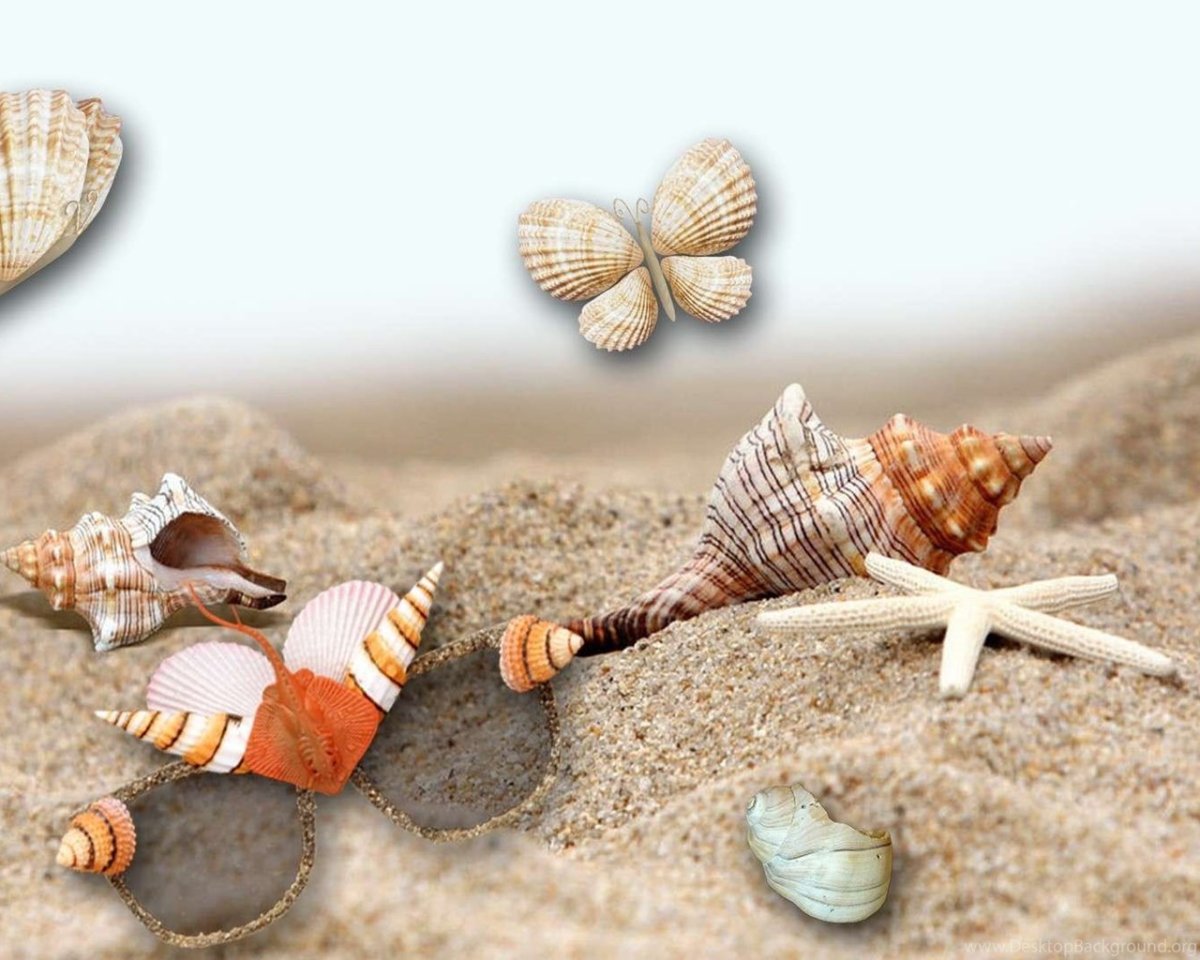 Scallop Shell в архитектуре