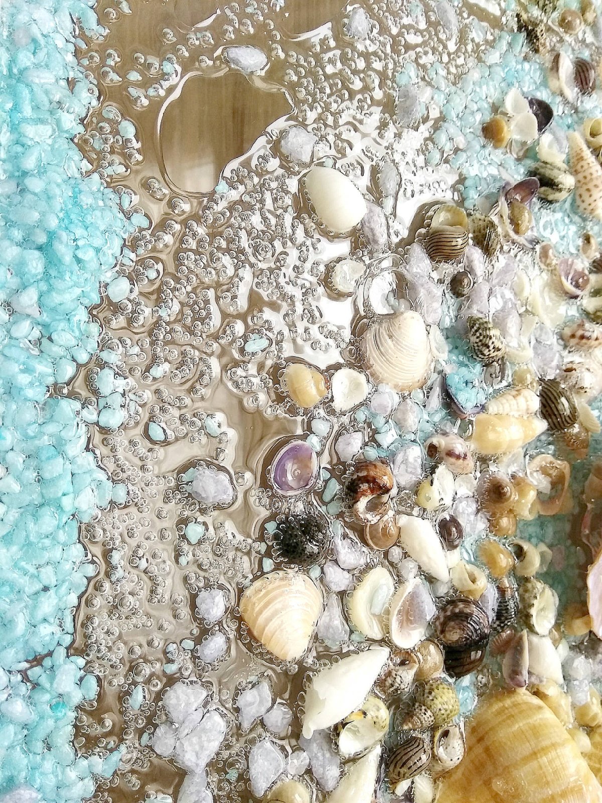 Ракушки на песке