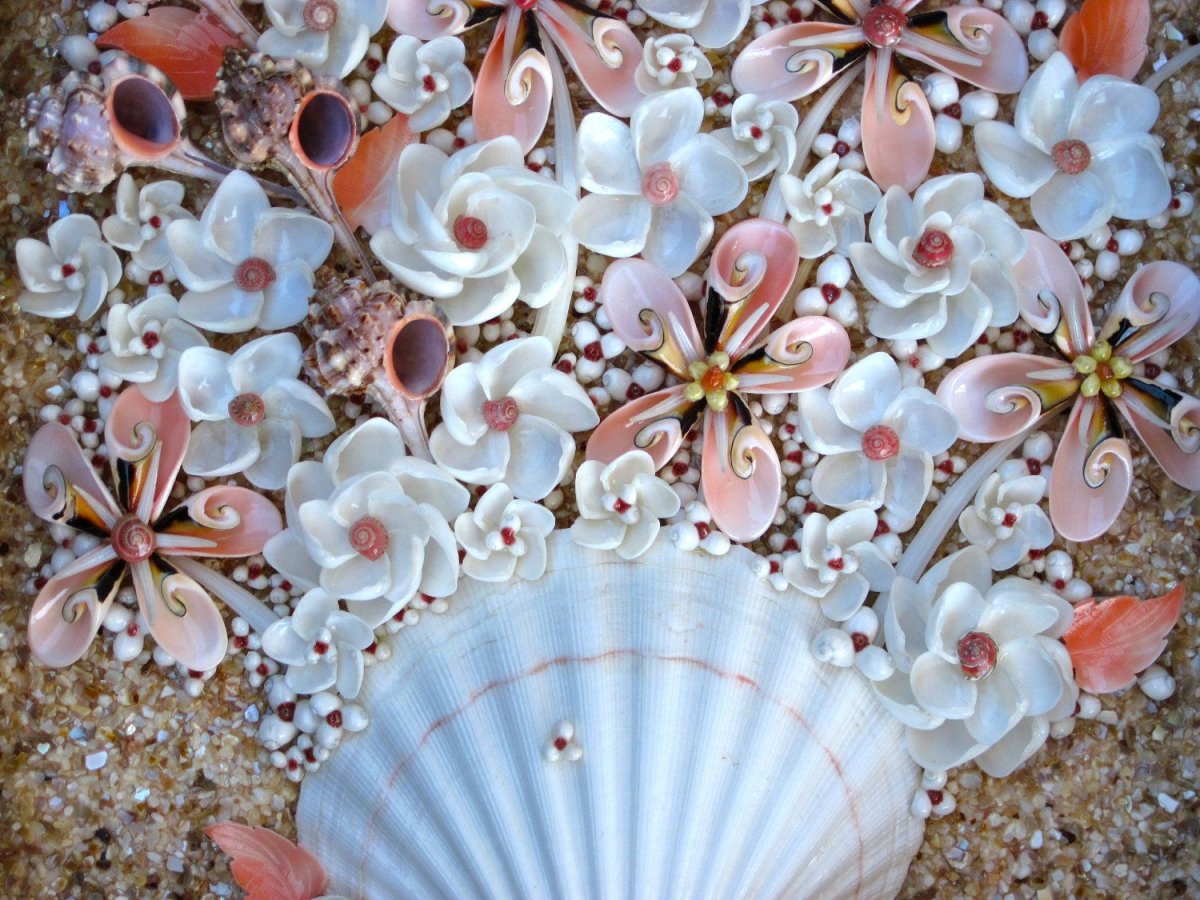 Сетка с ракушками на стену