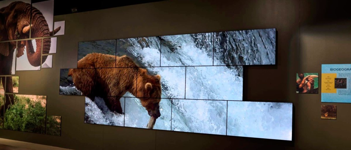 Интерактивный экран на стене