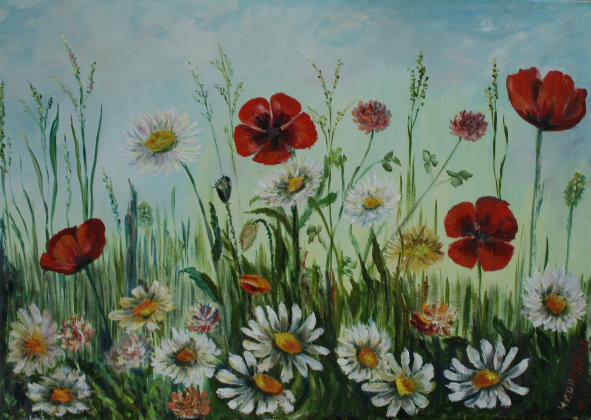 Маки и ромашки рисунок