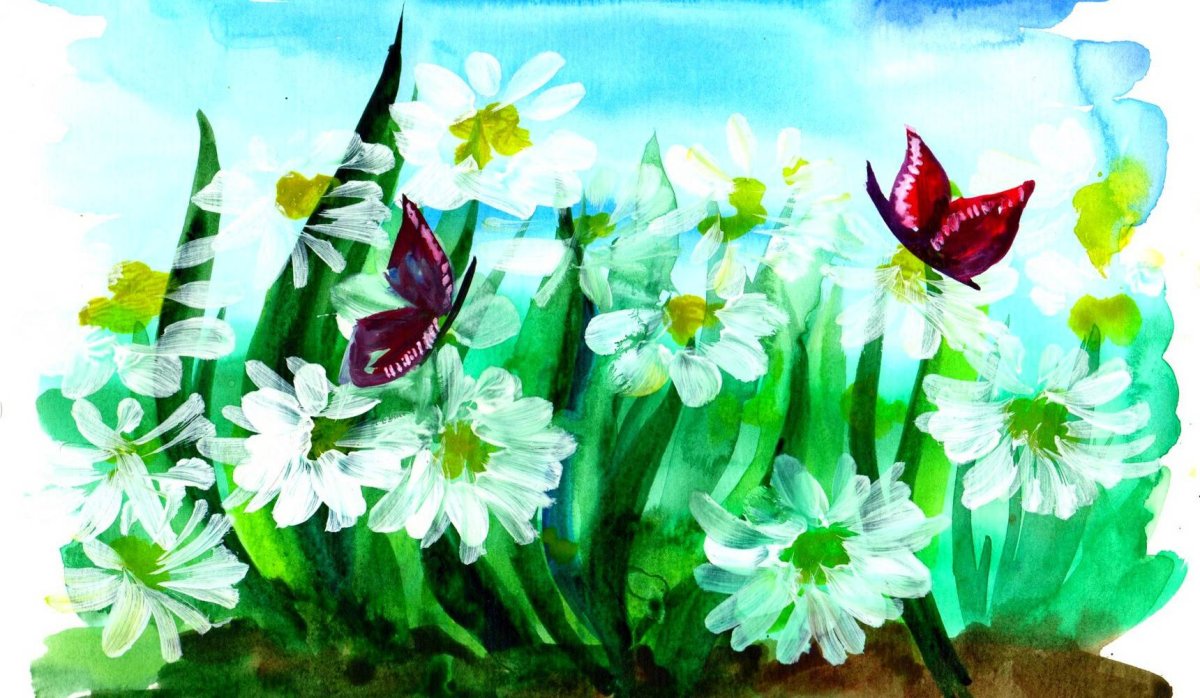 Экологические пейзажи ромашки бабочки