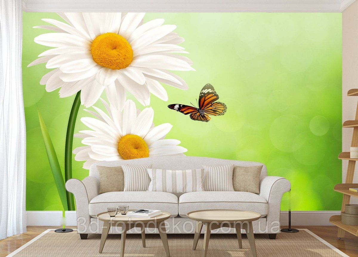 Фотообои ромашки на стену