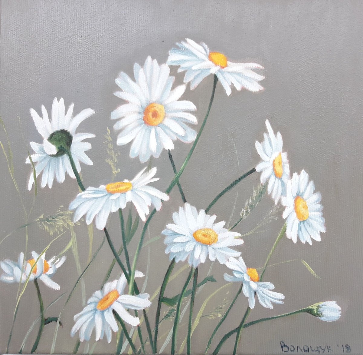 Роспись стен ромашки