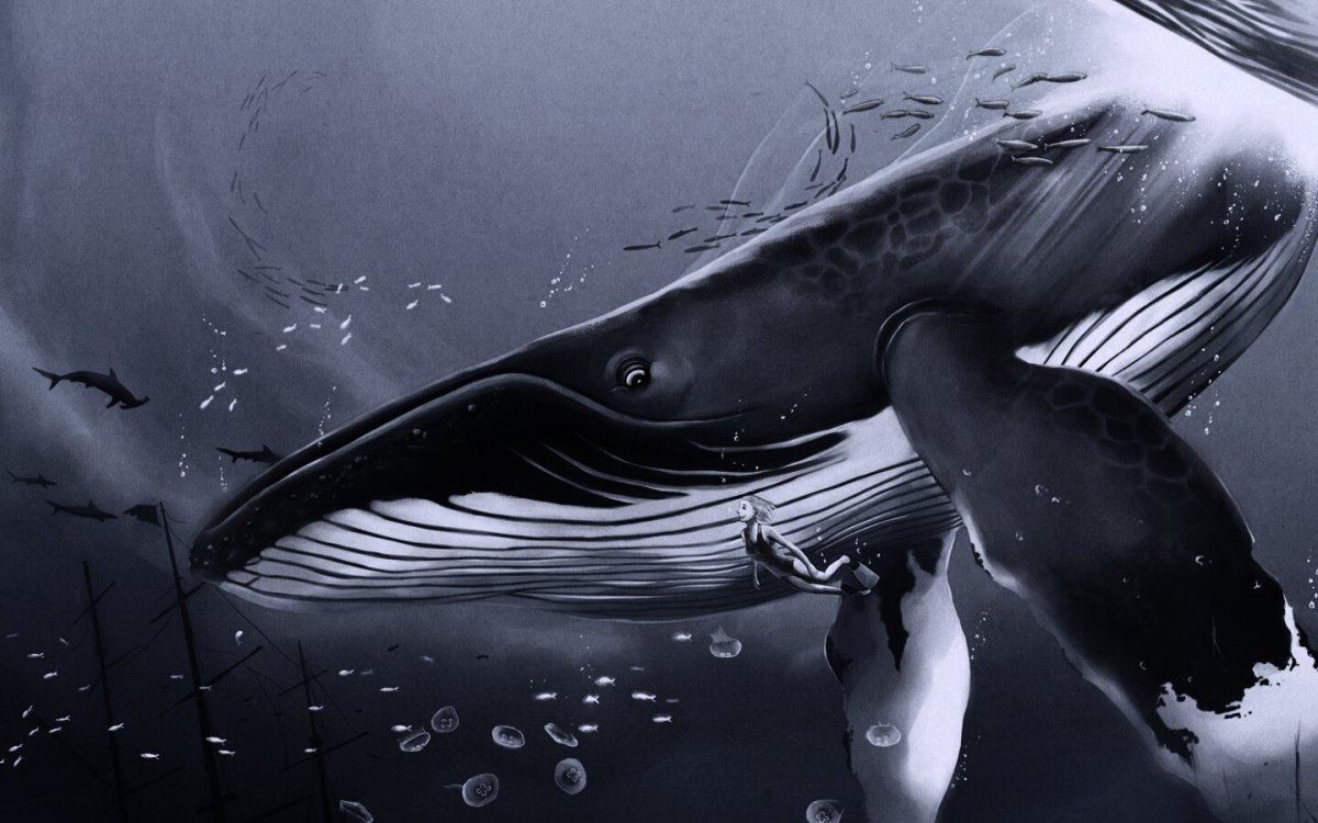 Трафарет кита на стену