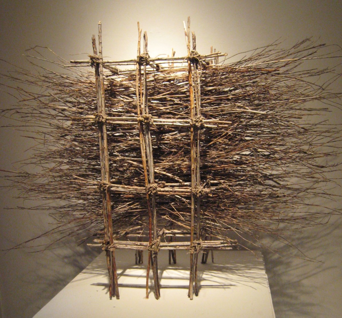 Инсталляция из веток