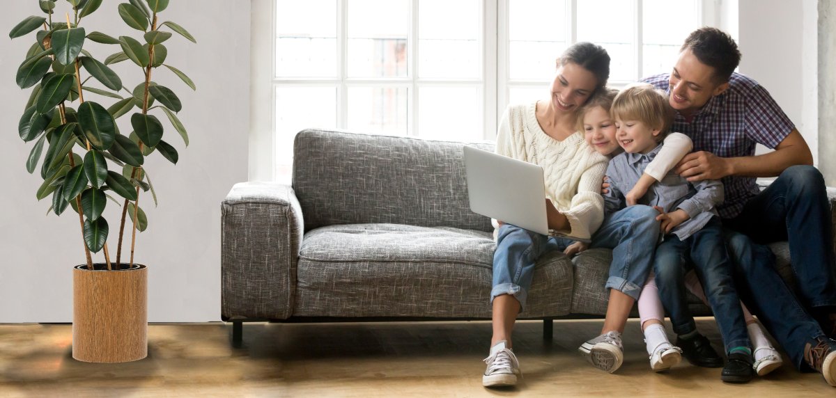 Семья занимается геометрией