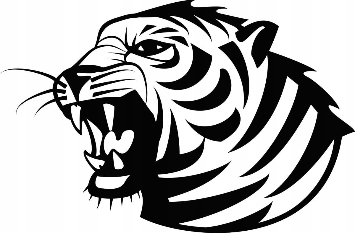 Тигр черно белый на белом фоне