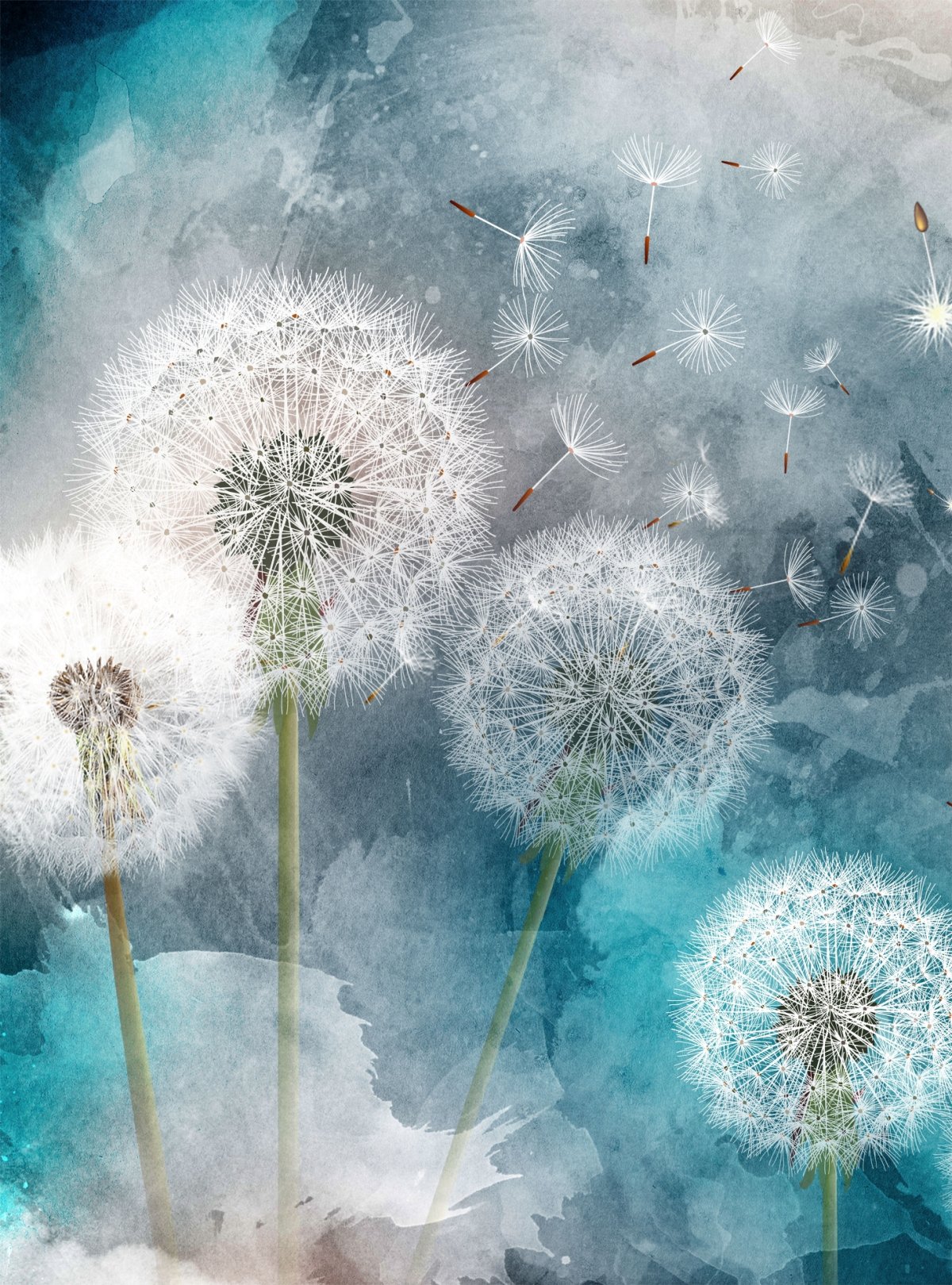 Одуванчики на стене