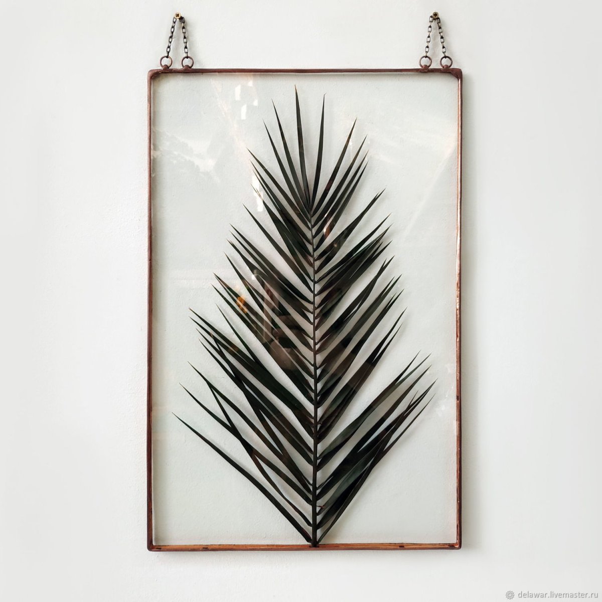 Гербарий в рамке в интерьере