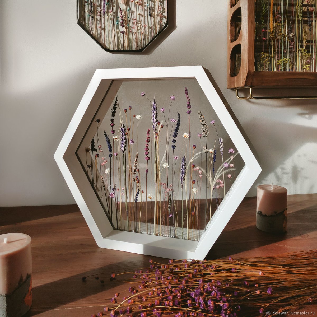 Настенный Гербариум