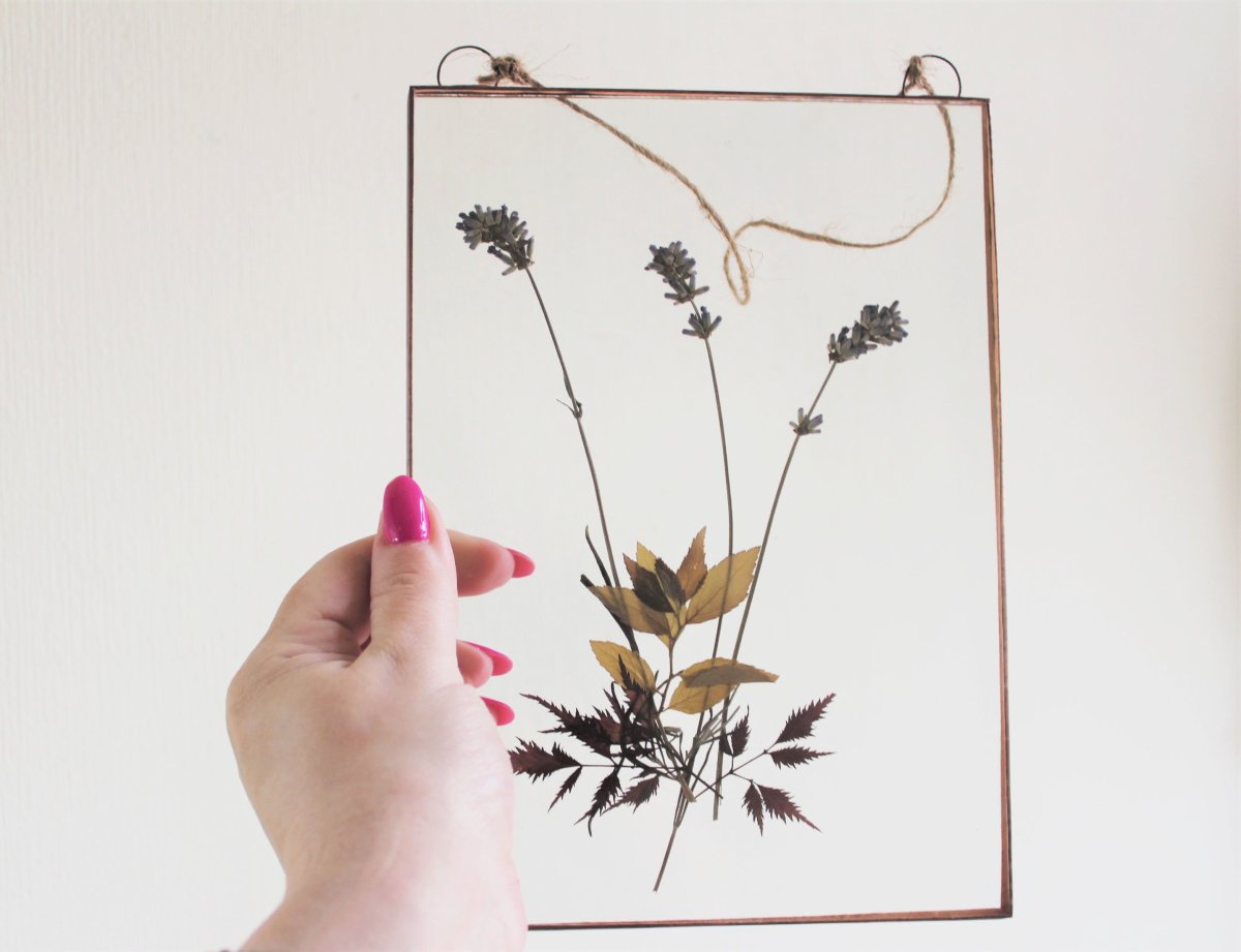 Настенный Гербариум