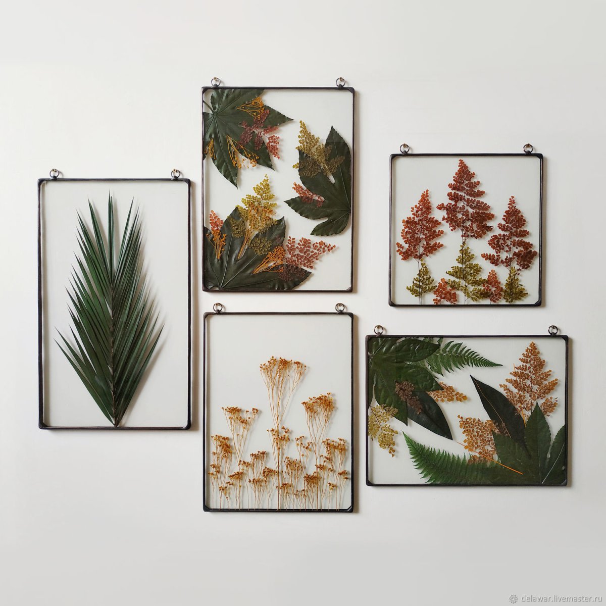 Гербарий в стекле набор