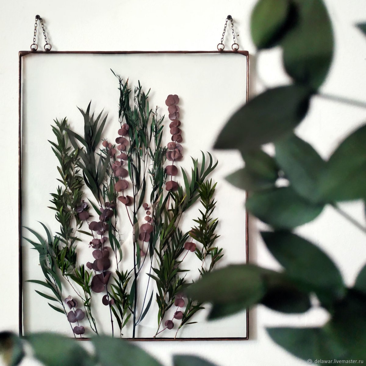 Настенный Гербариум