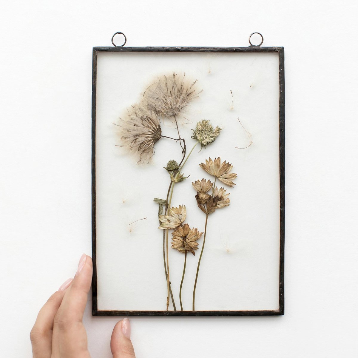 Гербариум из сухоцветов