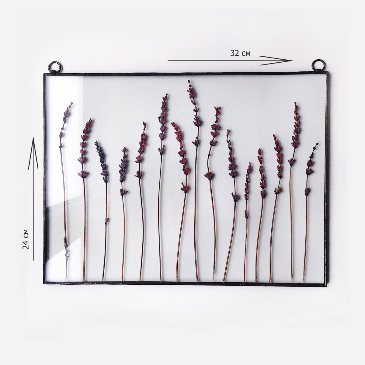 Картина гербарий