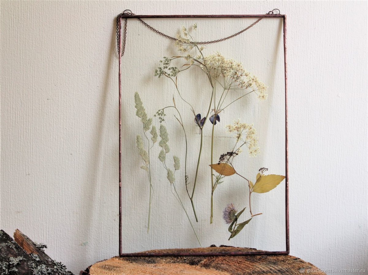 Стол с гербарием