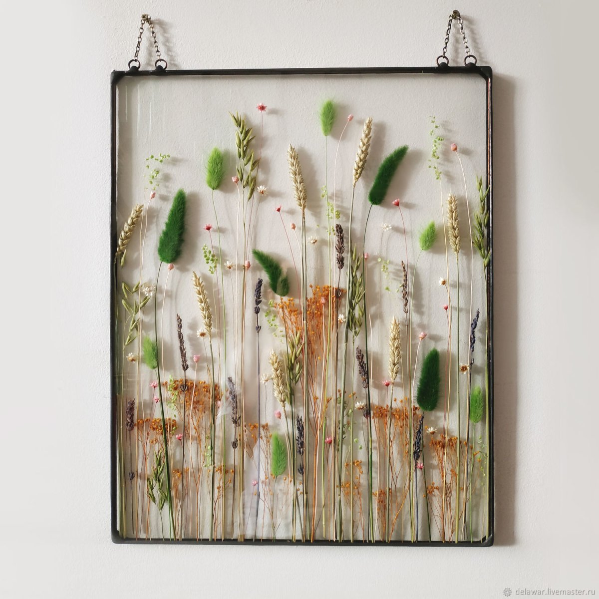 Настенный Гербариум