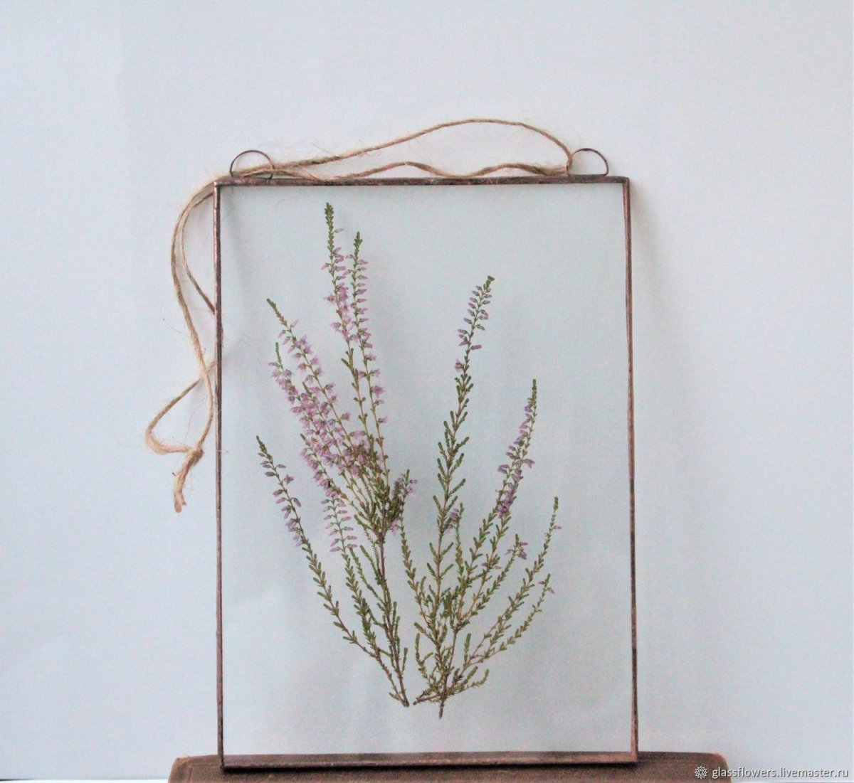 Гербарий в стекле в интерьере