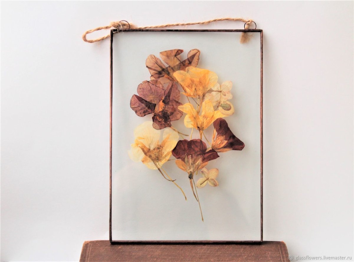 Настенный Гербариум