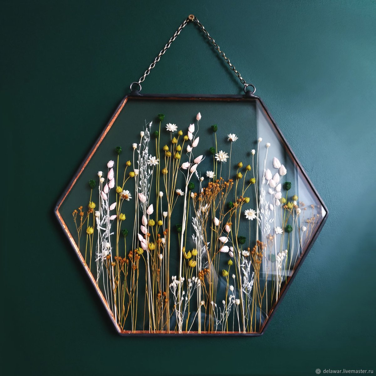 Herbarium k000907010