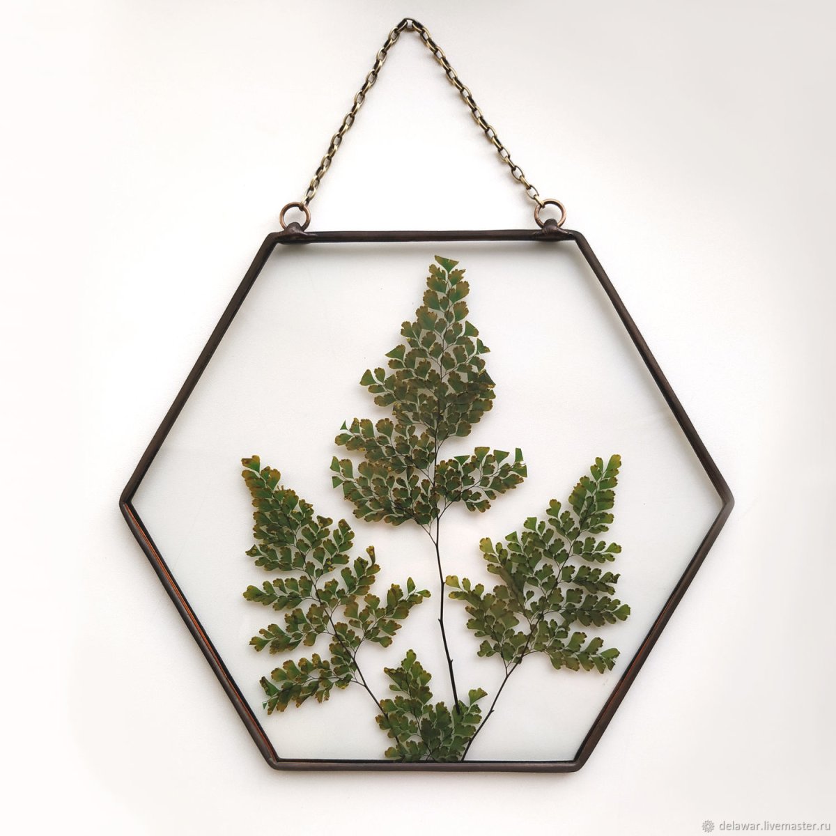 Полки с сухоцветами