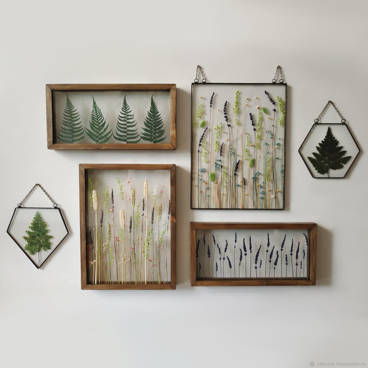 Настенный Гербариум