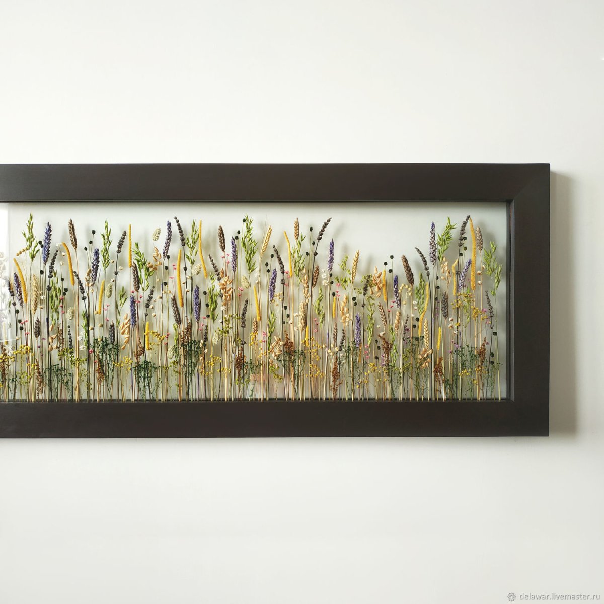 Настенный Гербариум