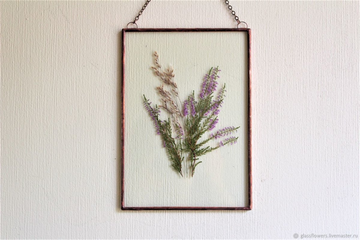 Как изготовить настенный Гербариум