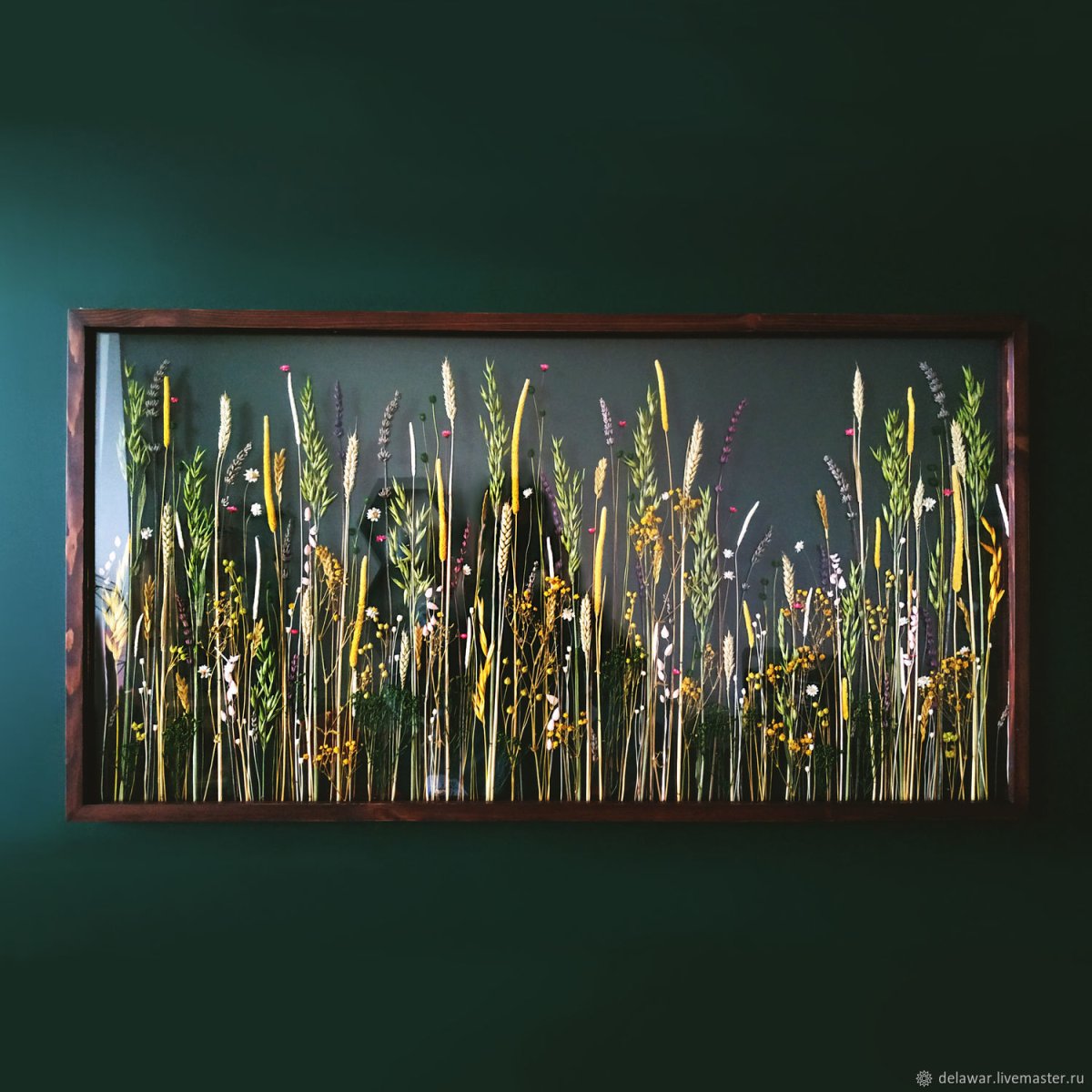 Гербарий в рамке на стену